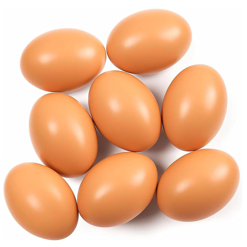 Baby Food With Chicken - Œuf en bois pour poules pondeuses,