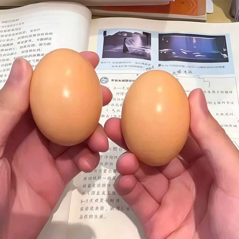 Œuf en bois pour poules pondeu - Baby Food With Chicken avis et prix