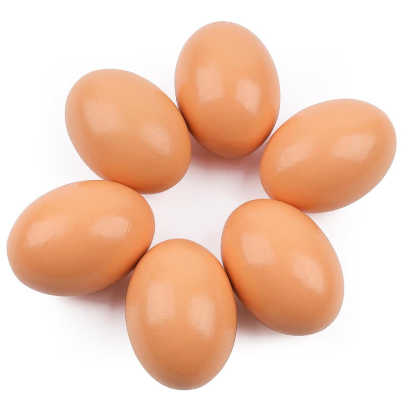 Œuf en bois pour poules pondeu - Baby Food With Chicken avis et prix